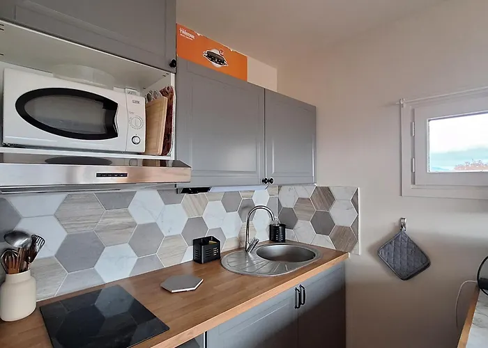 Les Isards F2 Romeu Vue Montagne *